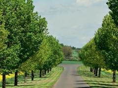 耐科装备12月29日获融资买入523.68万元，融资余额5481.14万元